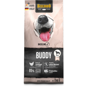 BUDDY