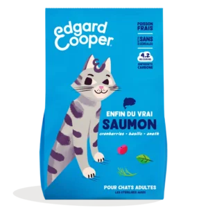 SAUMON