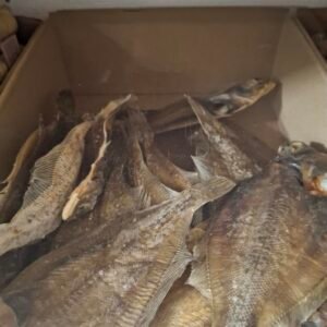 Poisson plie noire vrac