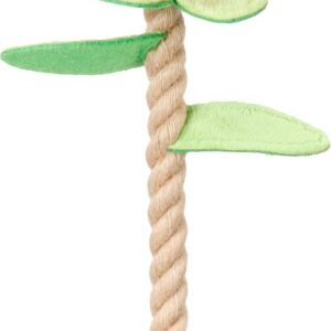 Rose rouge velours avec corde