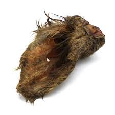 Oreille de boeuf avec poils XL
