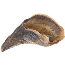 Sabot de boeuf XL 13-16cm